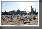 Mazar-e Šaríf