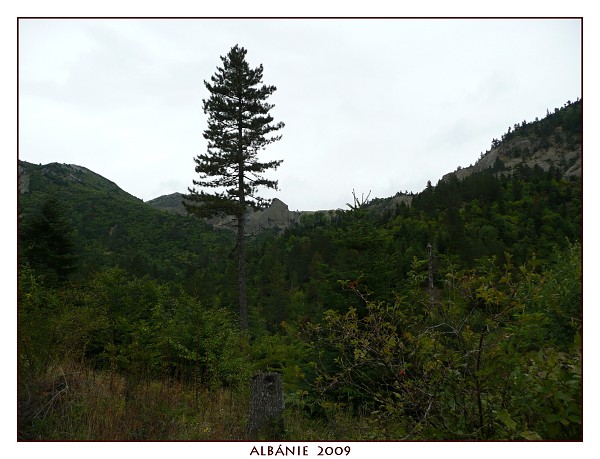 ALBÁNIE