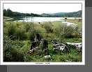Schelegurské jezero