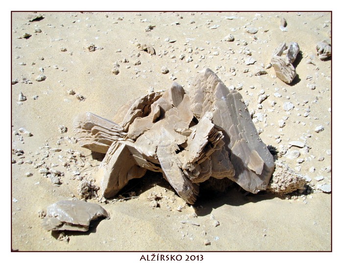 ALŽÍRSKO