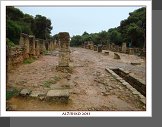 Tipasa