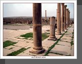 Timgad