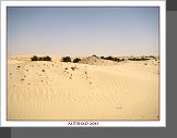 Sahara