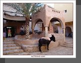 Ghardaia