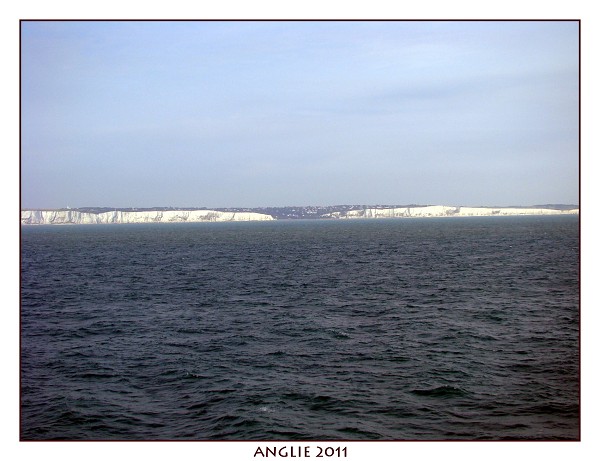 ANGLIE