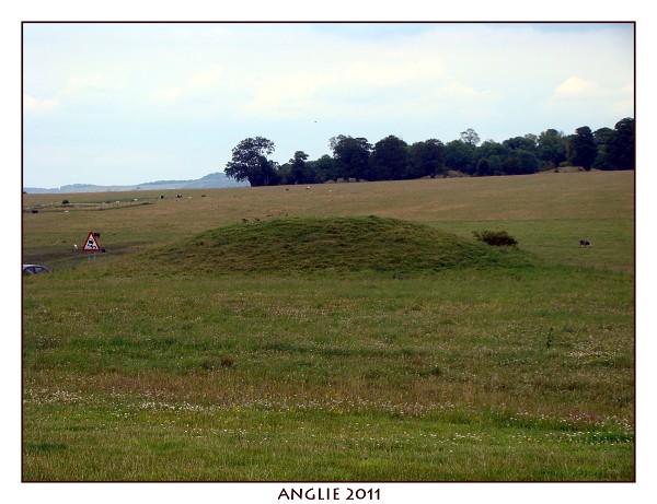 ANGLIE