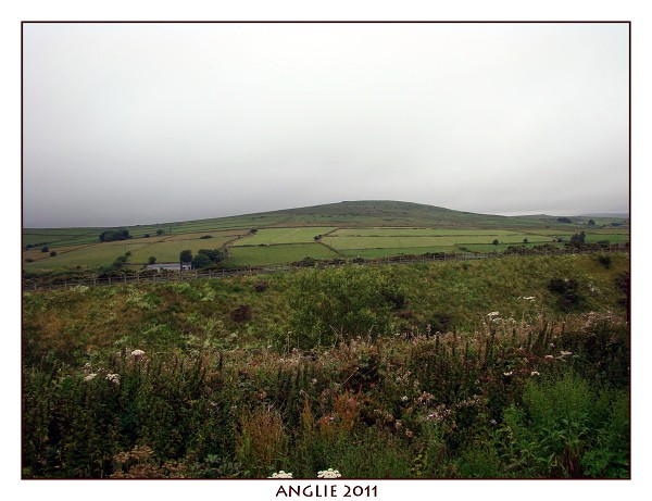 ANGLIE