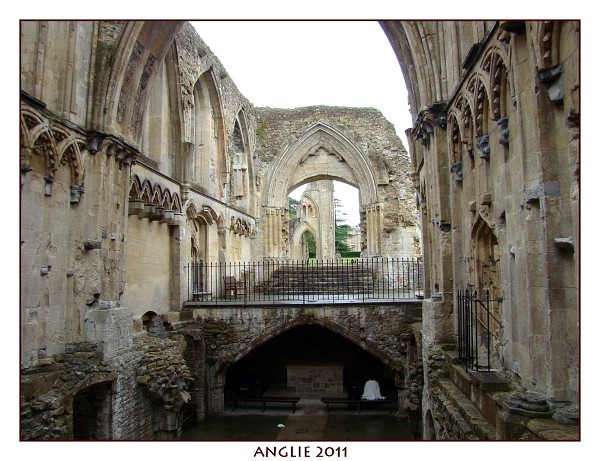 ANGLIE