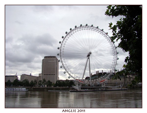 ANGLIE