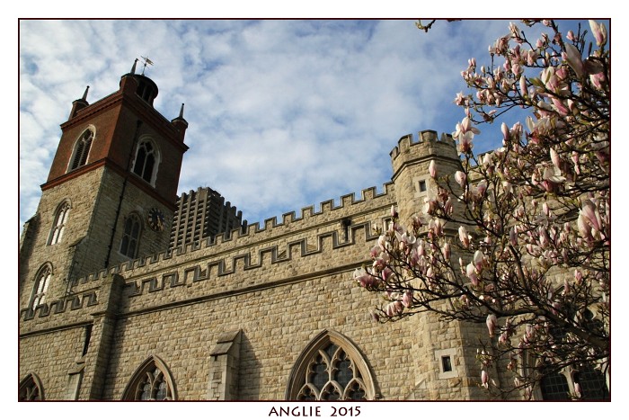 ANGLIE 2015