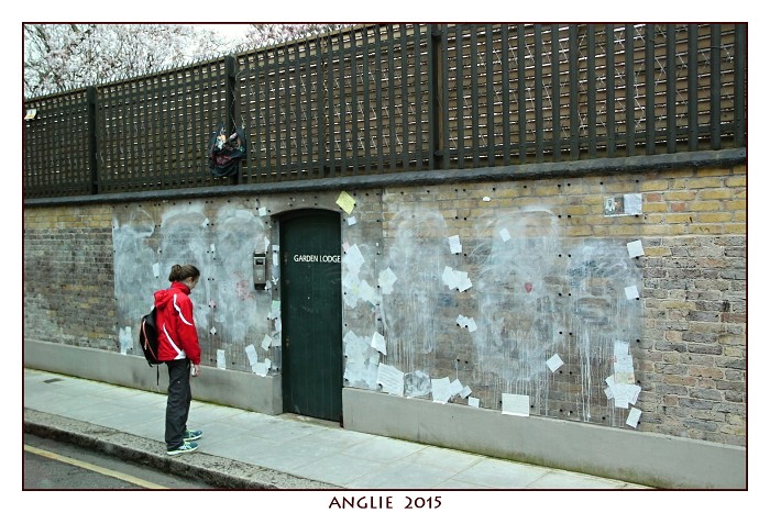 ANGLIE 2015