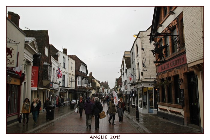 ANGLIE 2015