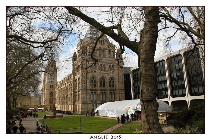 ANGLIE 2015