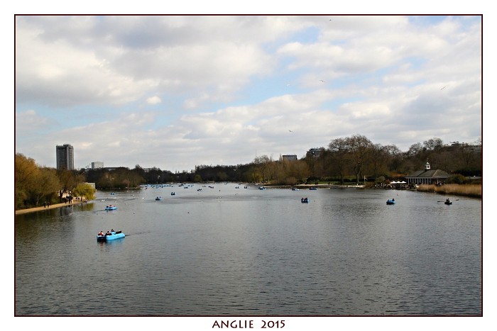 ANGLIE 2015
