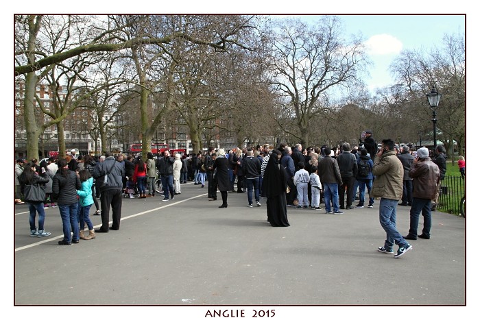 ANGLIE 2015