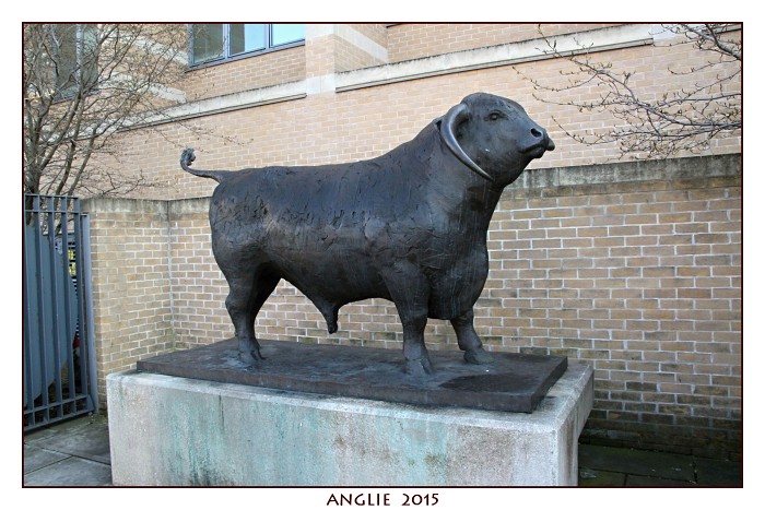 ANGLIE 2015