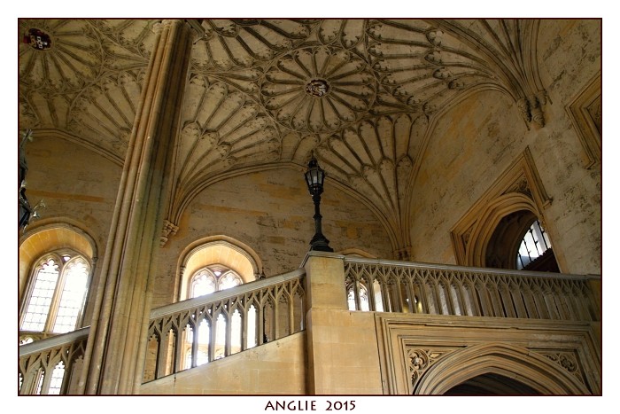 ANGLIE 2015