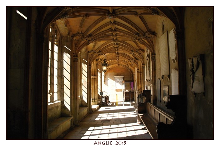 ANGLIE 2015