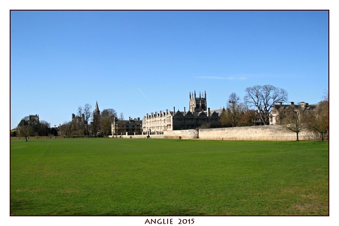 ANGLIE 2015