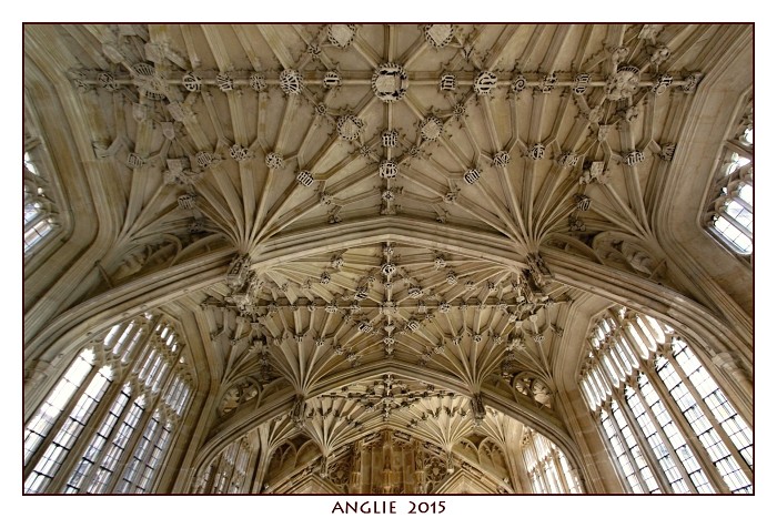ANGLIE 2015