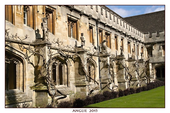ANGLIE 2015