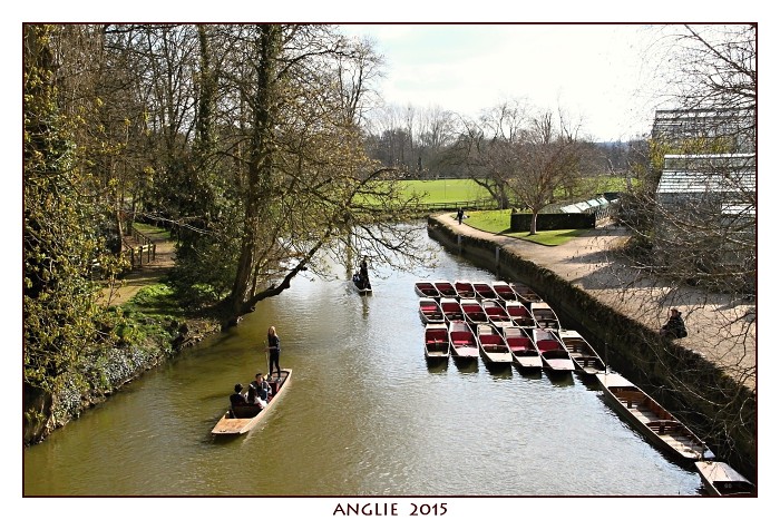 ANGLIE 2015