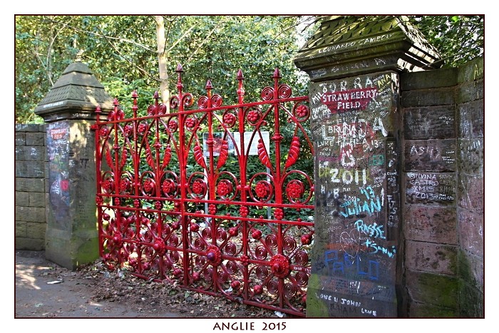 ANGLIE 2015