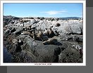 Canal Beagle