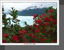 Perito Moreno