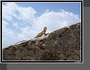 Gobustan