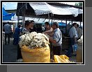 Sheki