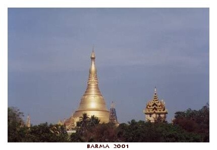 BARMA