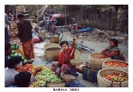 BARMA
