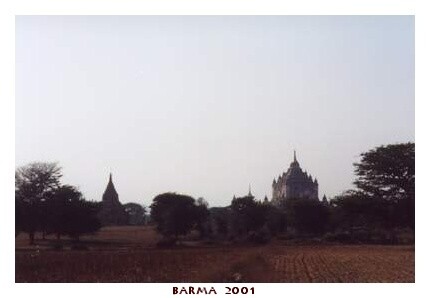 BARMA