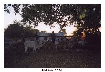 BARMA