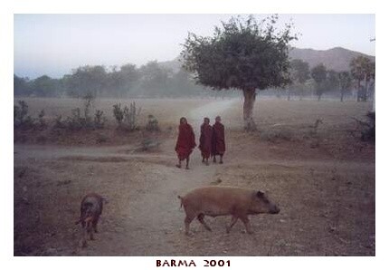 BARMA