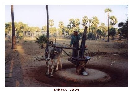 BARMA