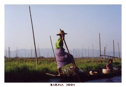BARMA