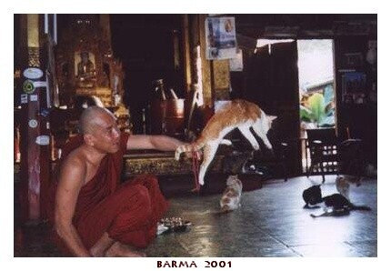 BARMA