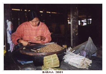 BARMA