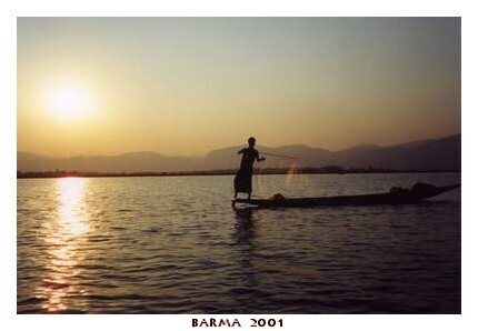 BARMA