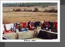 Pindaya