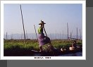 Jezero Inle