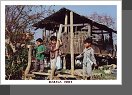 Jezero Inle