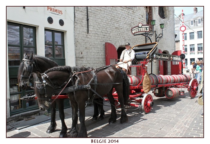 BELGIE