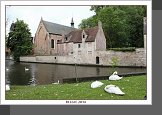 Bruggy
