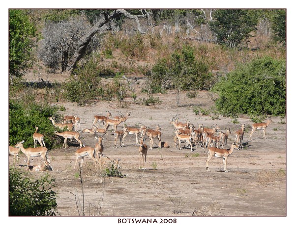 BOTSWANA