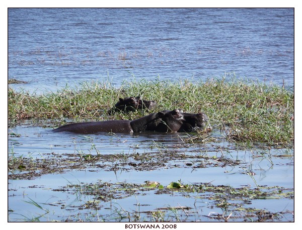 BOTSWANA