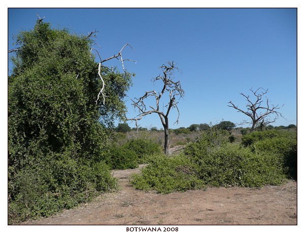 BOTSWANA