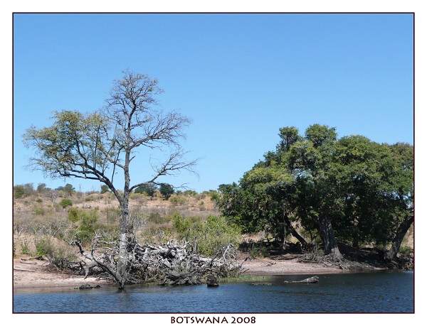 BOTSWANA